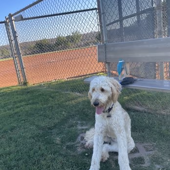 Horizon Dog Park photo 1
